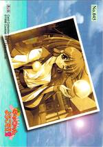 045 アダルトカード18