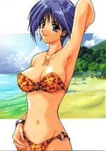 117 STYLE CARD 葵01