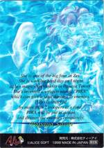 AD06 パパイア・サーバー